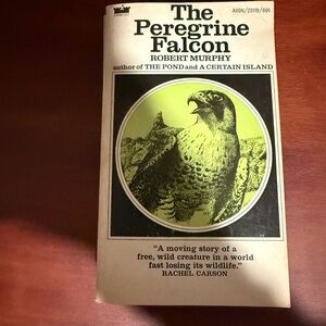 The Peregrine Falcon Book by Robert Murphy First Edition